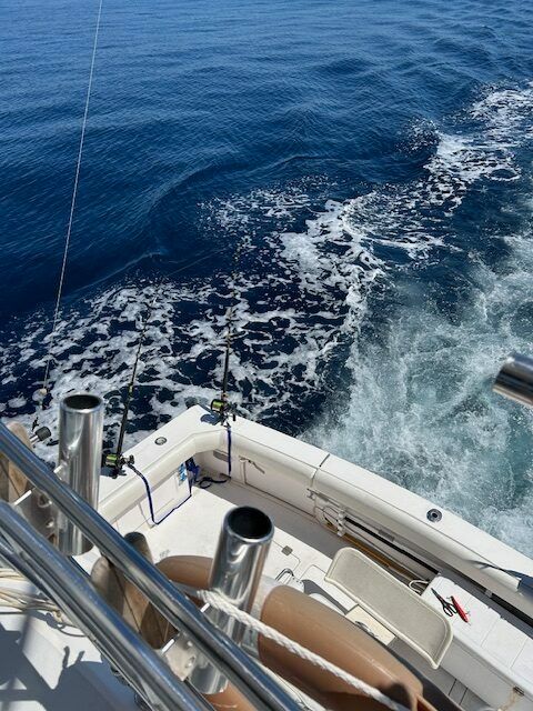 Bertram 46 | El Mojito 2