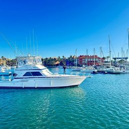 Bertram 46 | El Mojito 2