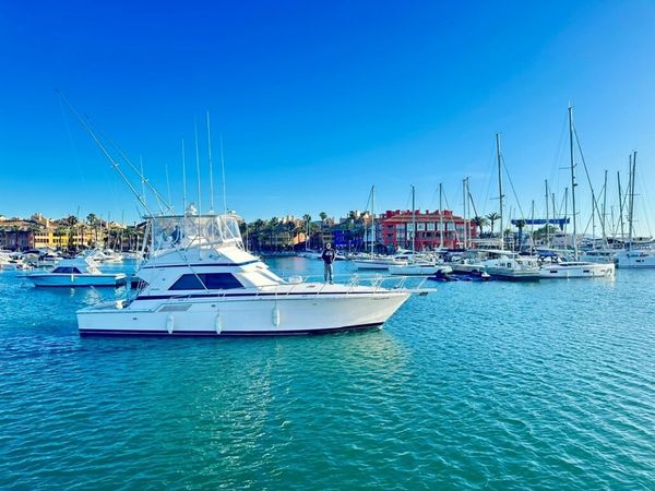 Bertram 46 | El Mojito 2