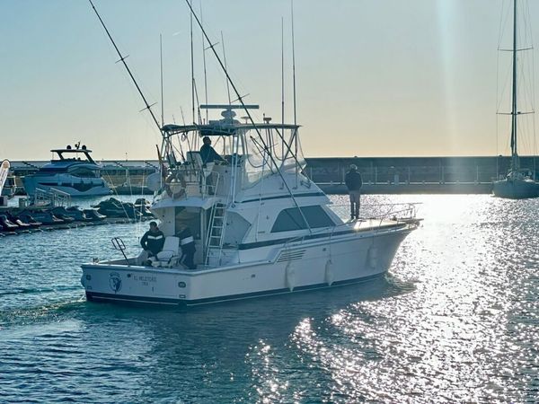 Bertram 46 | El Mojito 2