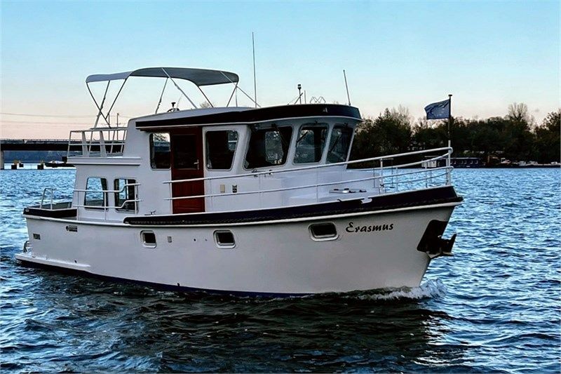 Pedro 1000 | Erasmus