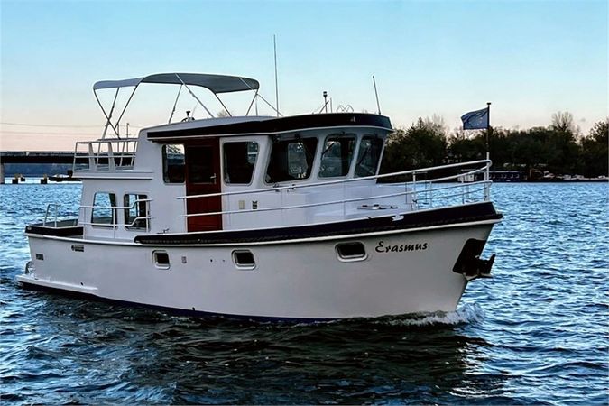 Pedro 1000 | Erasmus