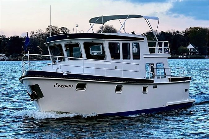 Pedro 1000 | Erasmus