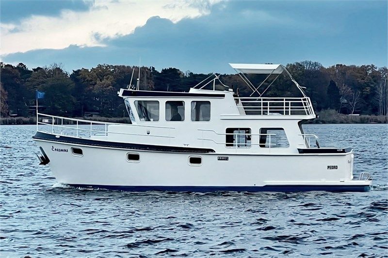 Pedro 1000 | Erasmus