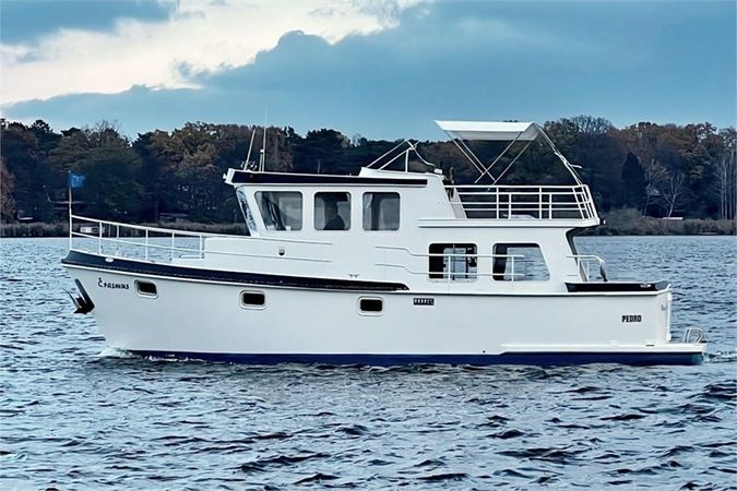 Pedro 1000 | Erasmus