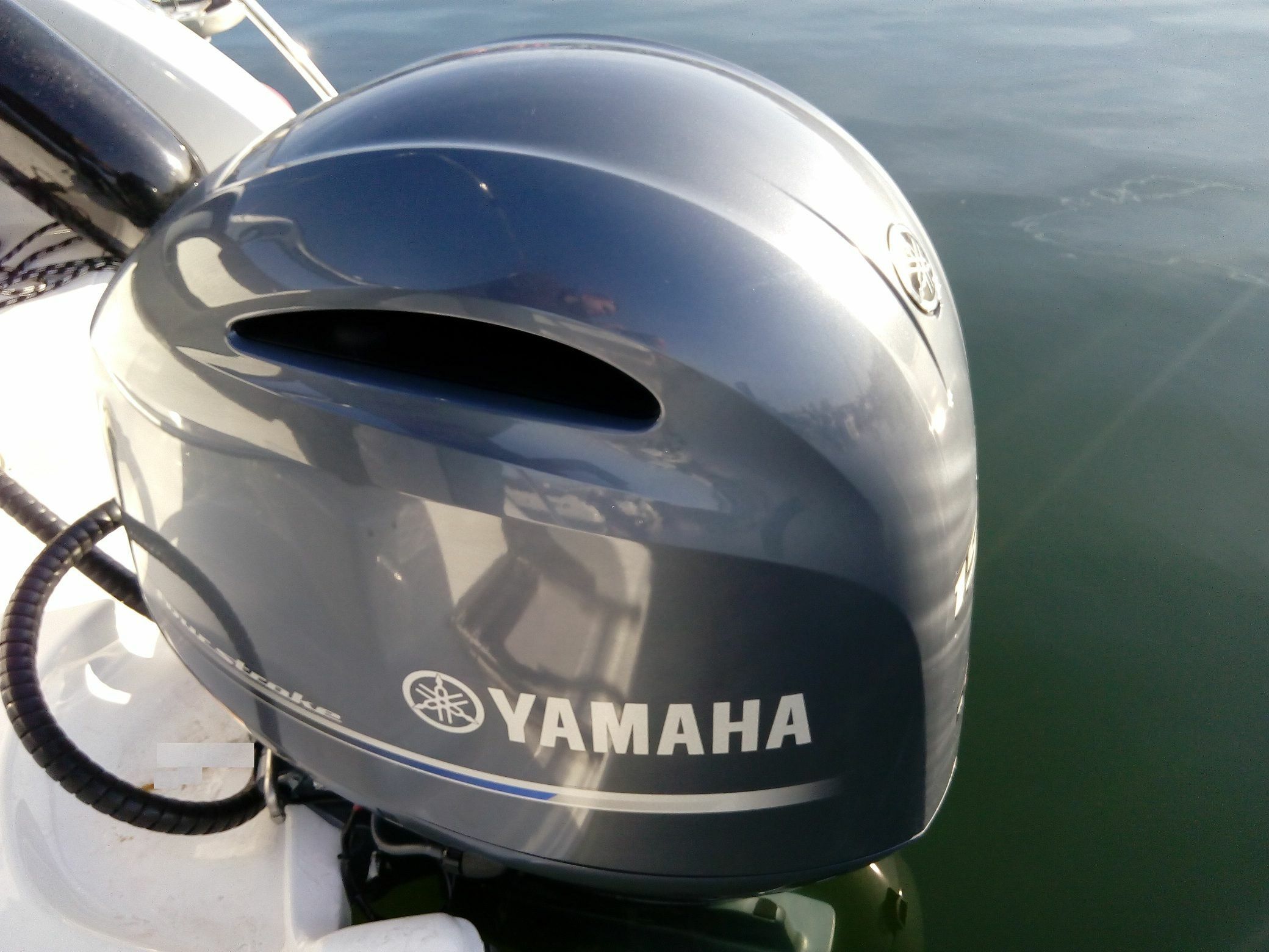 Coral 690 Sport Cruiser | Sun Sail 3