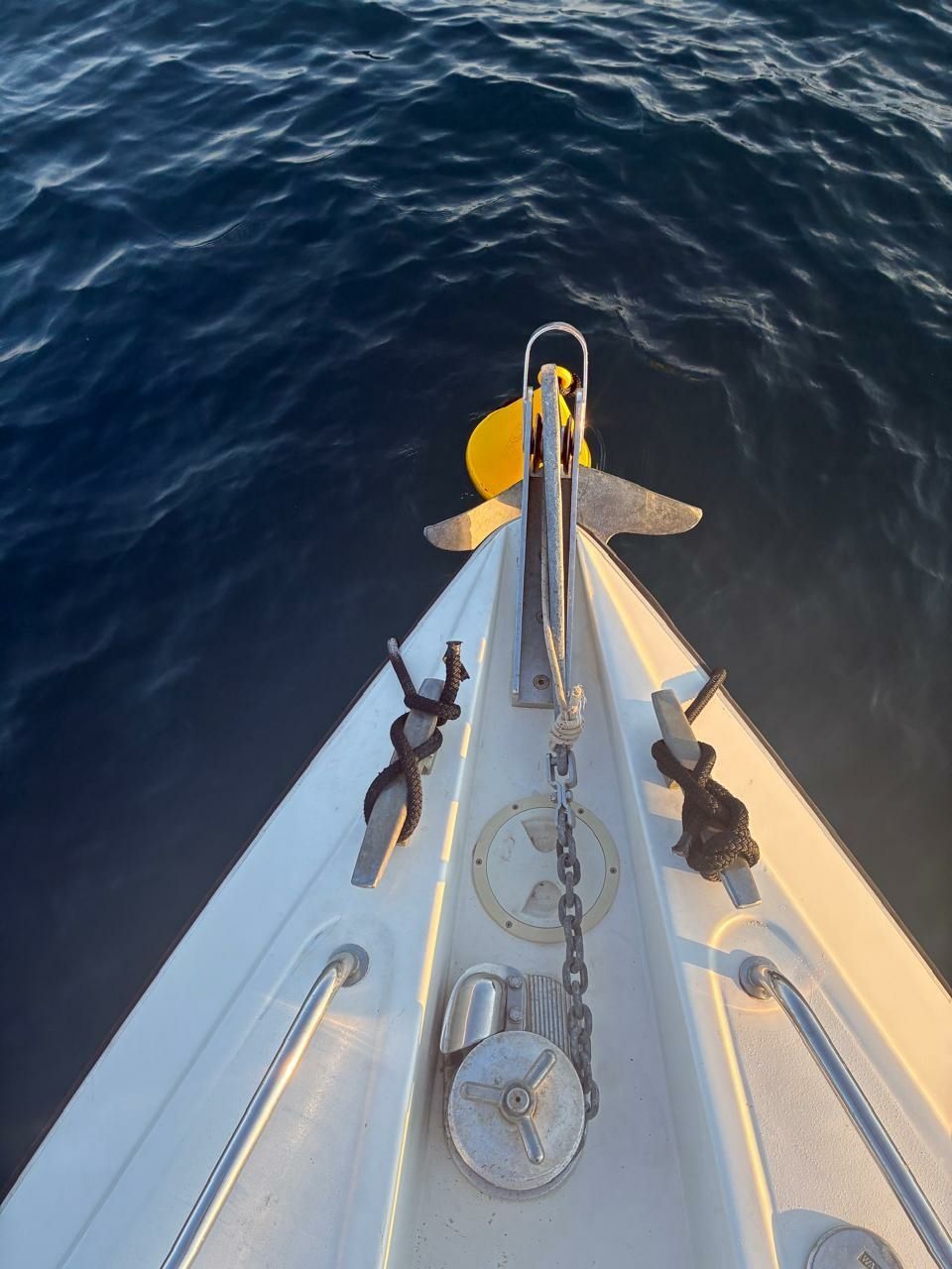 Tullio Abbate Elite 33 | Denarius