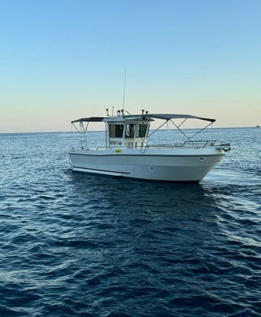 Polyform Triakis C30 | 06