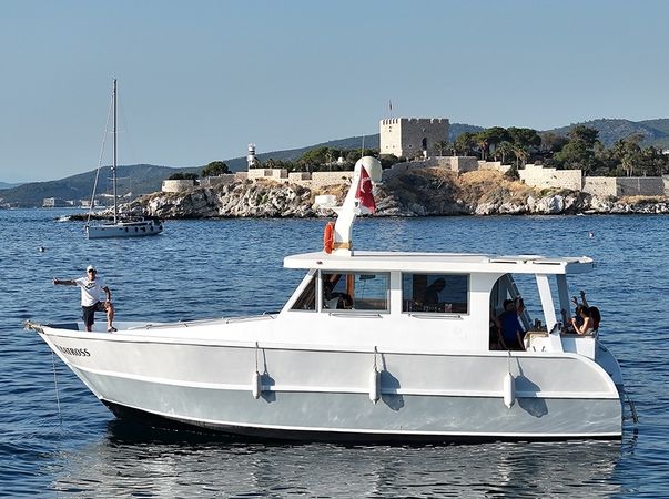 Custom Built 39 | Albatross