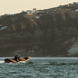 Fost Rib | Black Swan