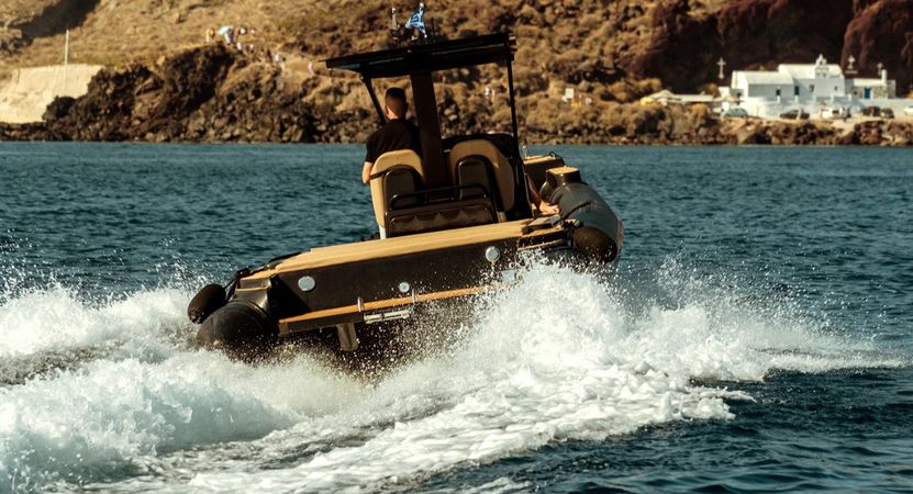 Fost Rib | Black Swan