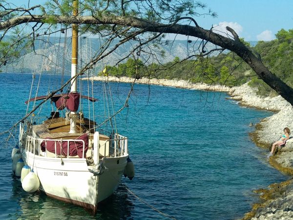 Custom Built 33 | Rona 1