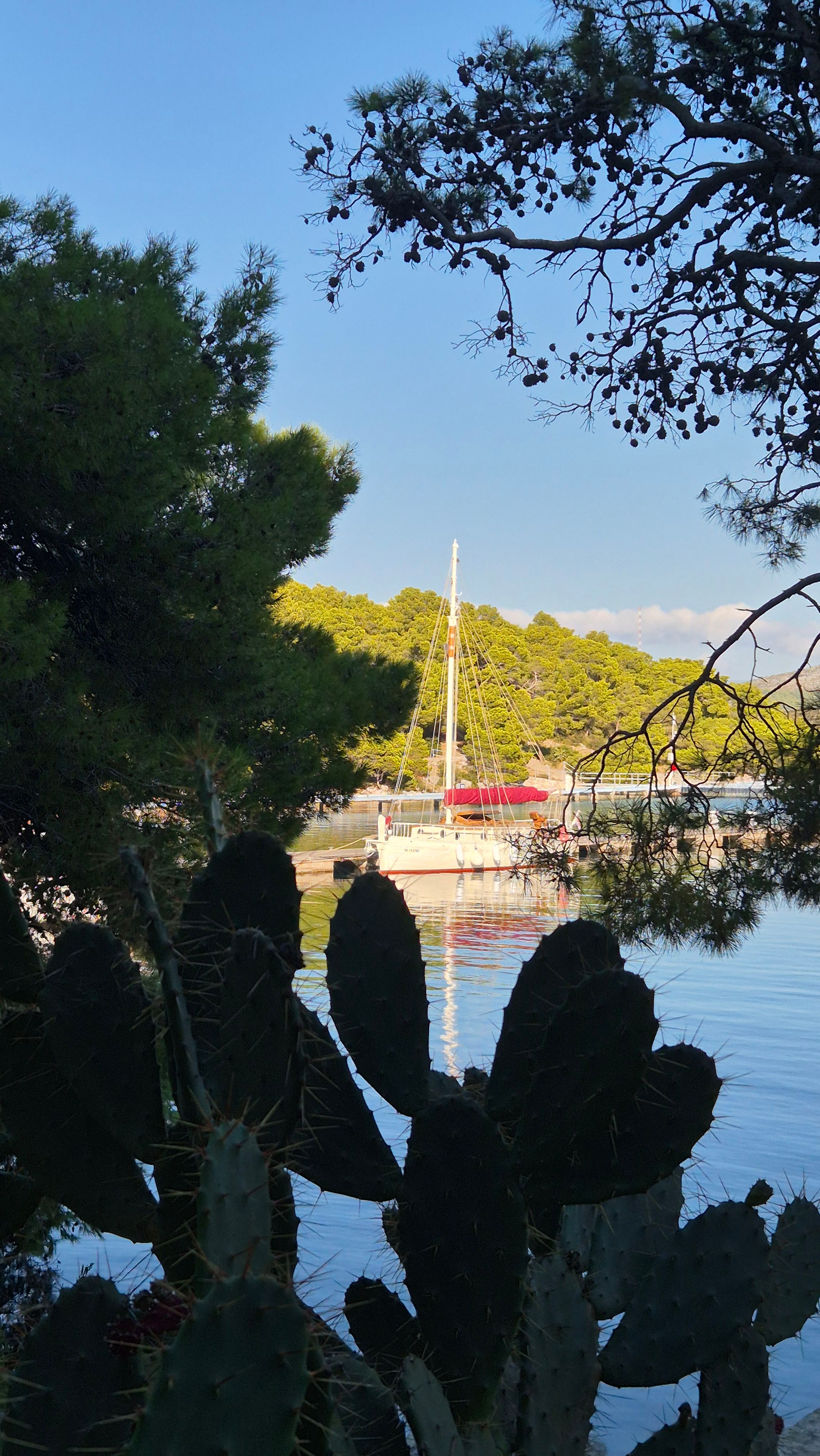 Custom Built 33 | Rona 1