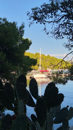 Custom Built 33 | Rona 1