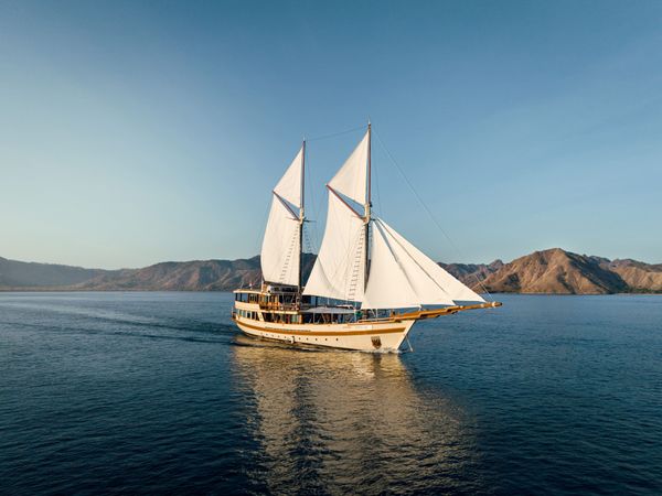 Custom Built 157 | Otium