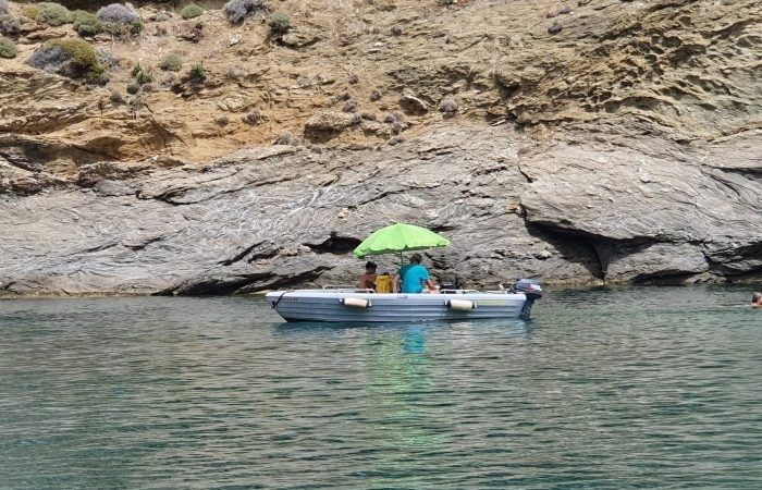 Pioner Maxi 12 | Eliza