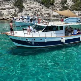 Custom Built 42 | Elite