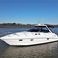 Sealine 38 | Elaine