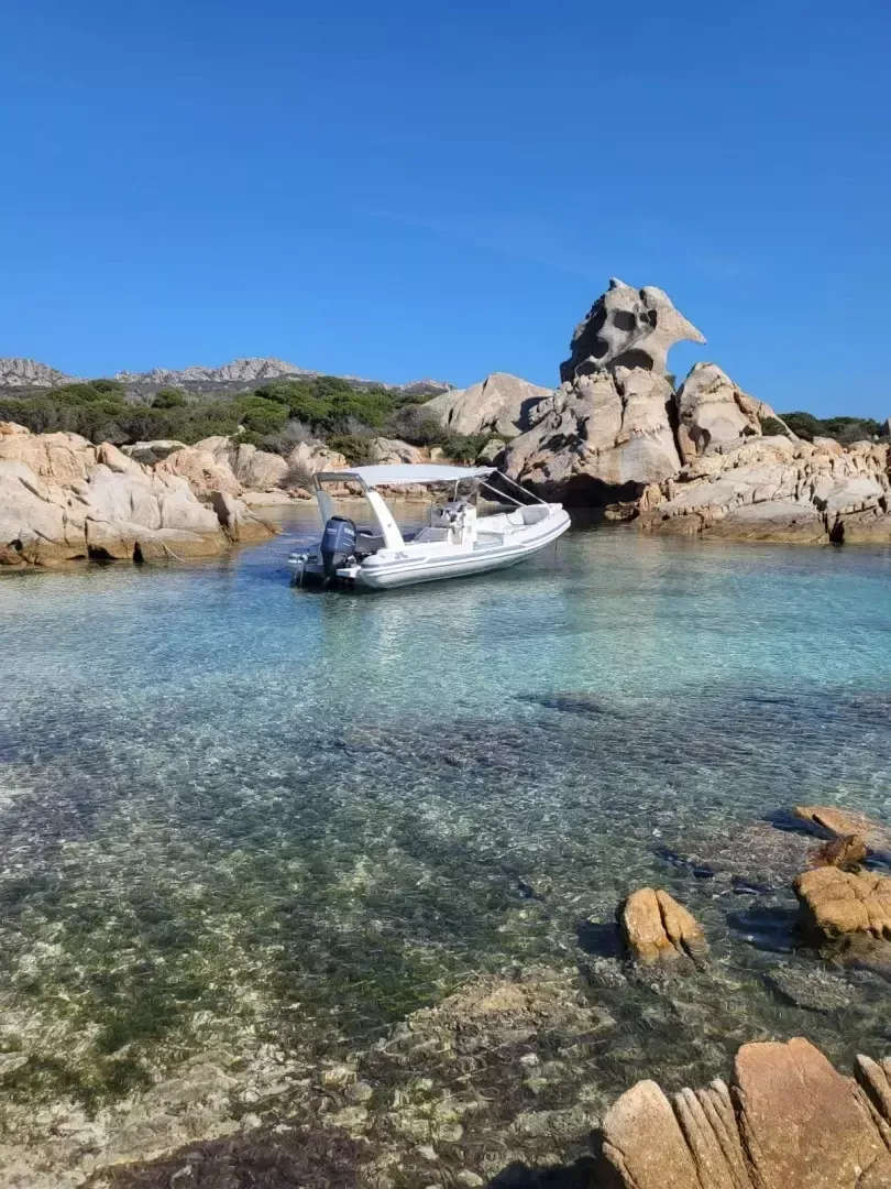 Joker Clubman 22 | 20