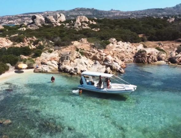 Joker Clubman 22 | 20