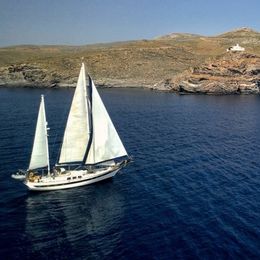 Ta chiao 56 | Onfekomonadi