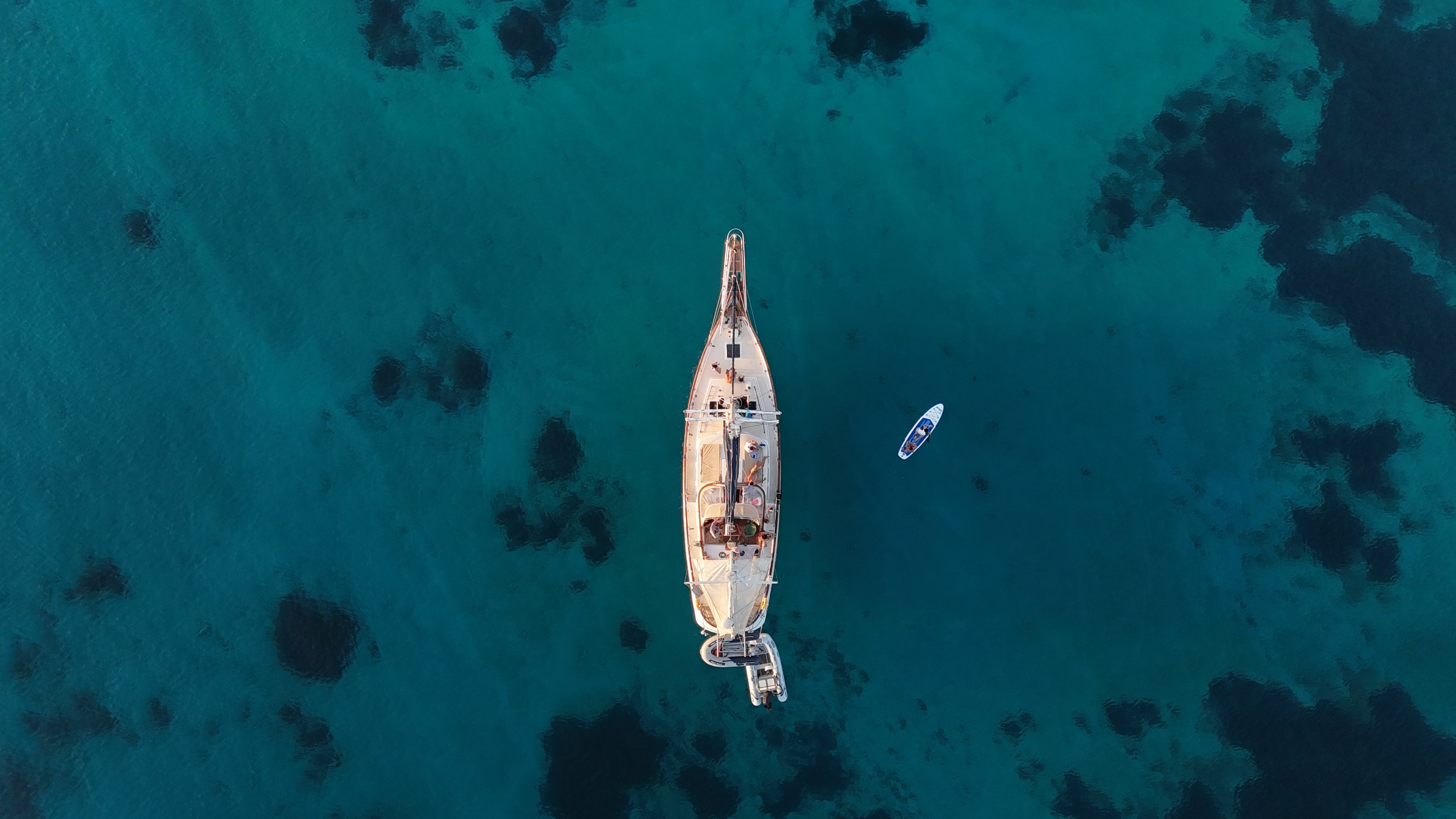 Ta chiao 56 | Onfekomonadi