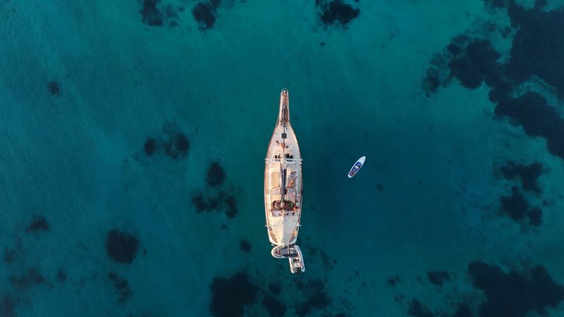 Ta chiao 56 | Onfekomonadi