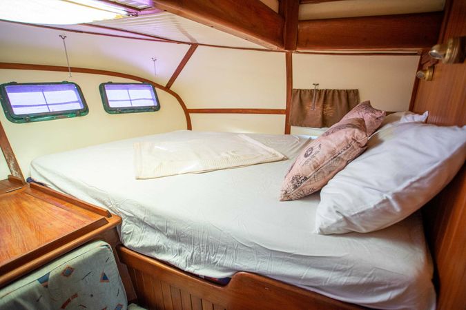 Ta chiao 56 | Onfekomonadi