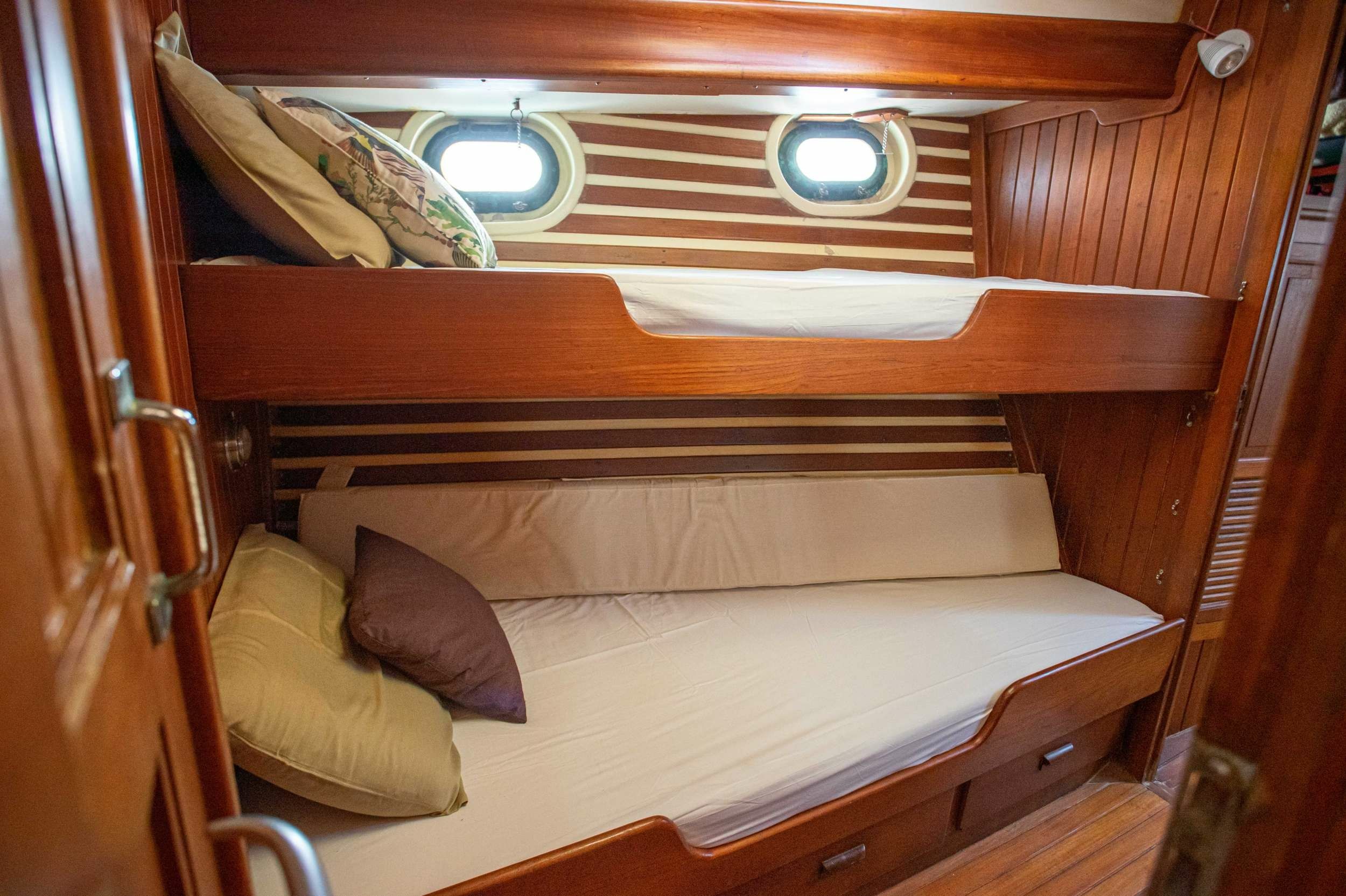 Ta chiao 56 | Onfekomonadi