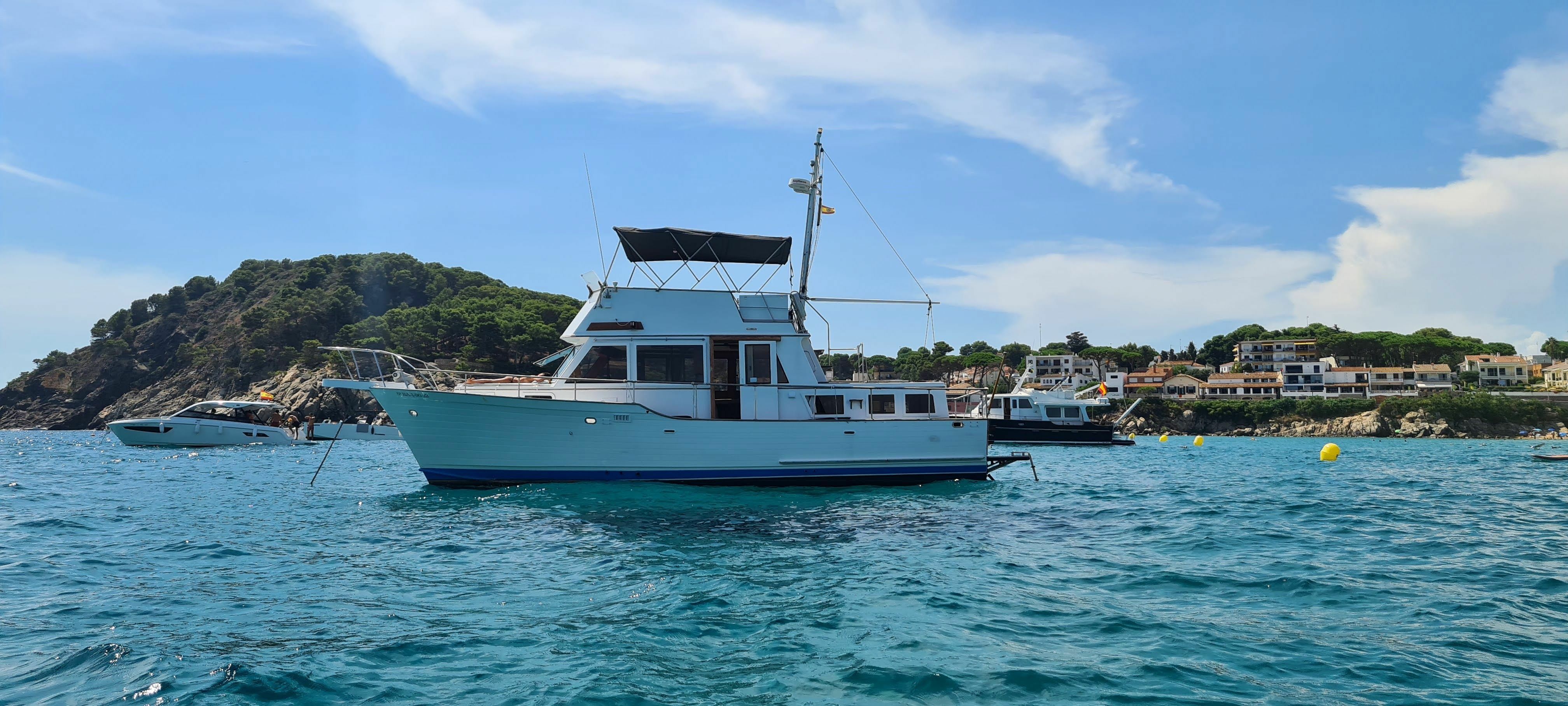 Halvorsen 40 | Belmondo