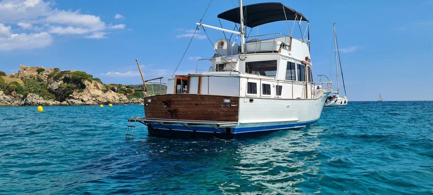 Halvorsen 40 | Belmondo