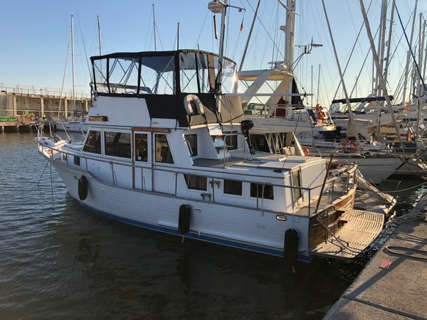 Halvorsen 40 | Belmondo