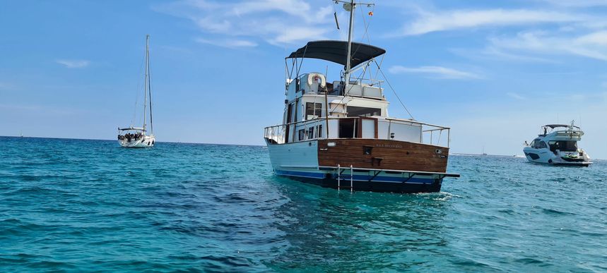 Halvorsen 40 | Belmondo