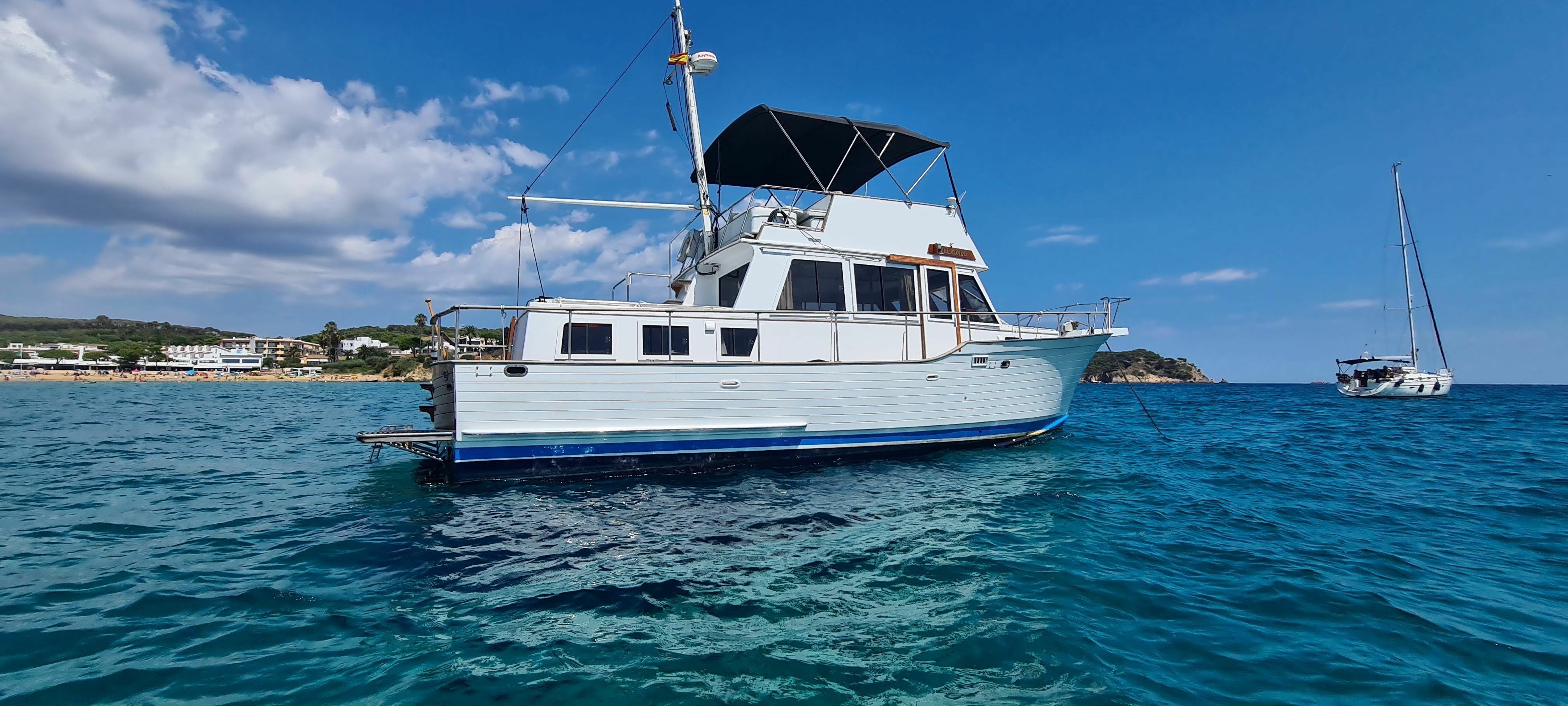 Halvorsen 40 | Belmondo