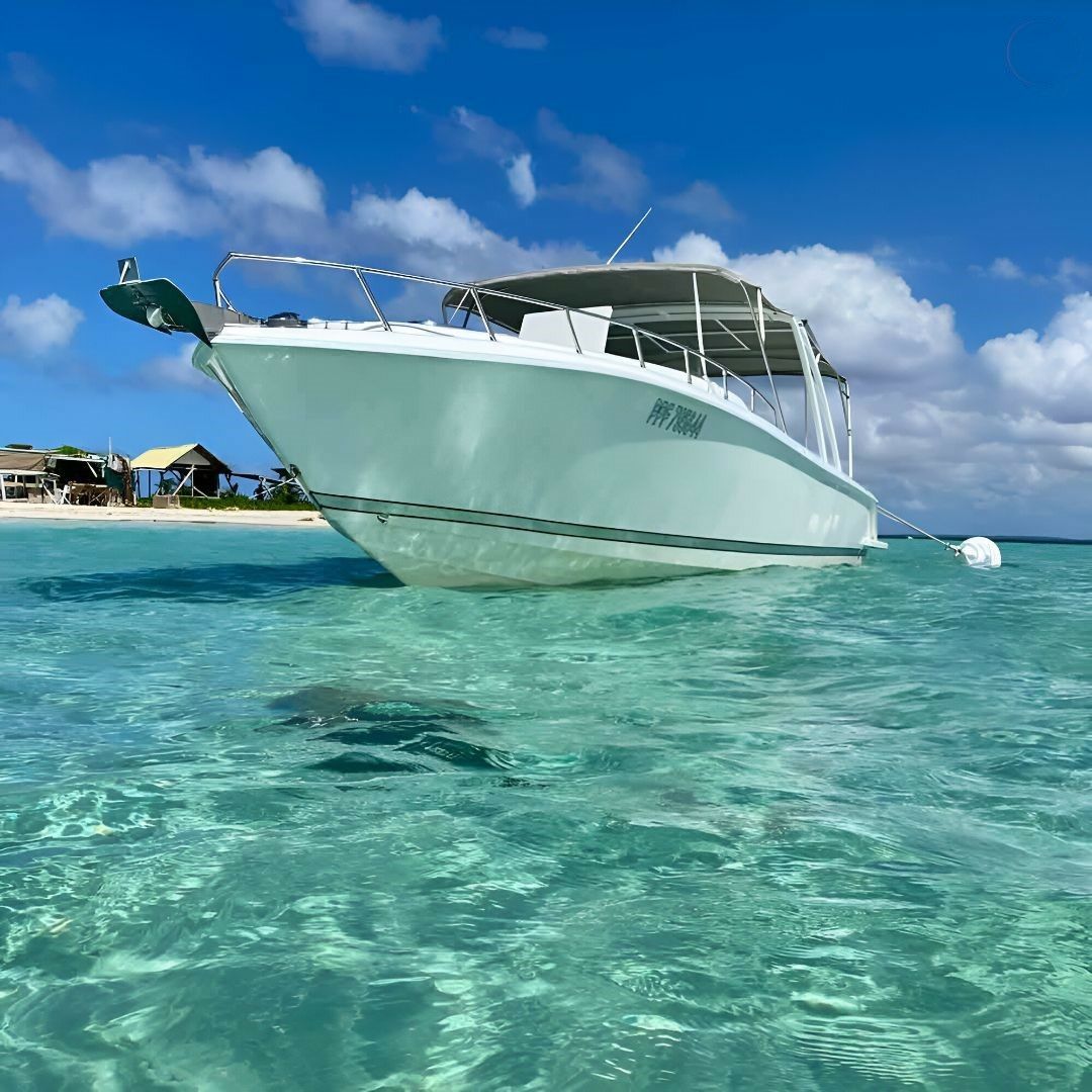 Forboat 34 | Magic Dream