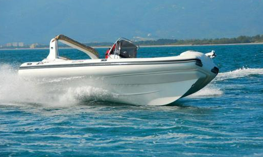 Black Fin Elegance 25 | 12