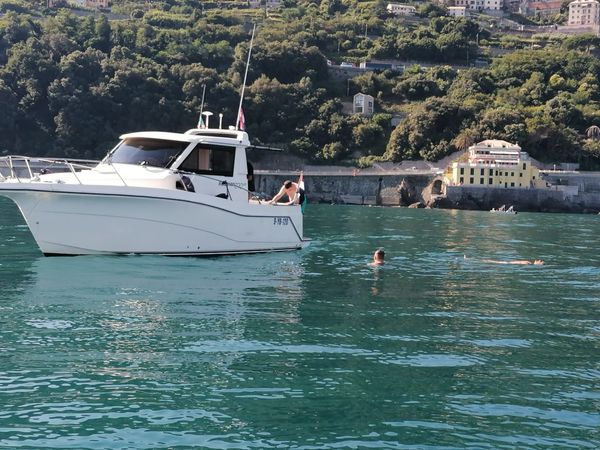 Rodman 870 | Cattleya