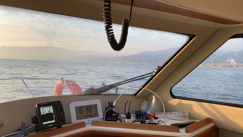 Rodman 870 | Cattleya