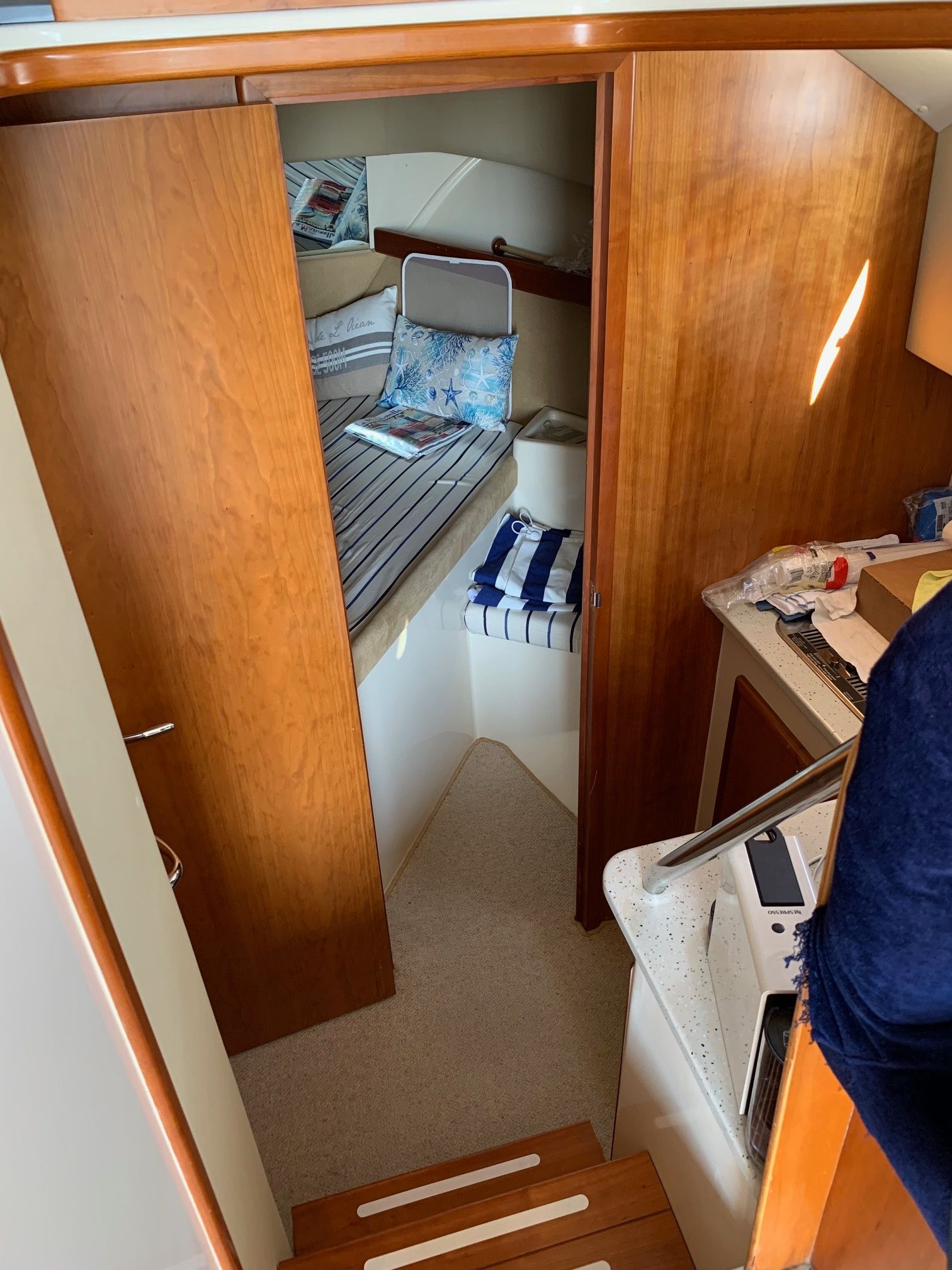 Rodman 870 | Cattleya