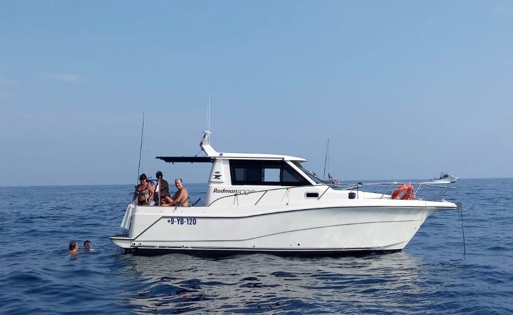 Rodman 870 | Cattleya