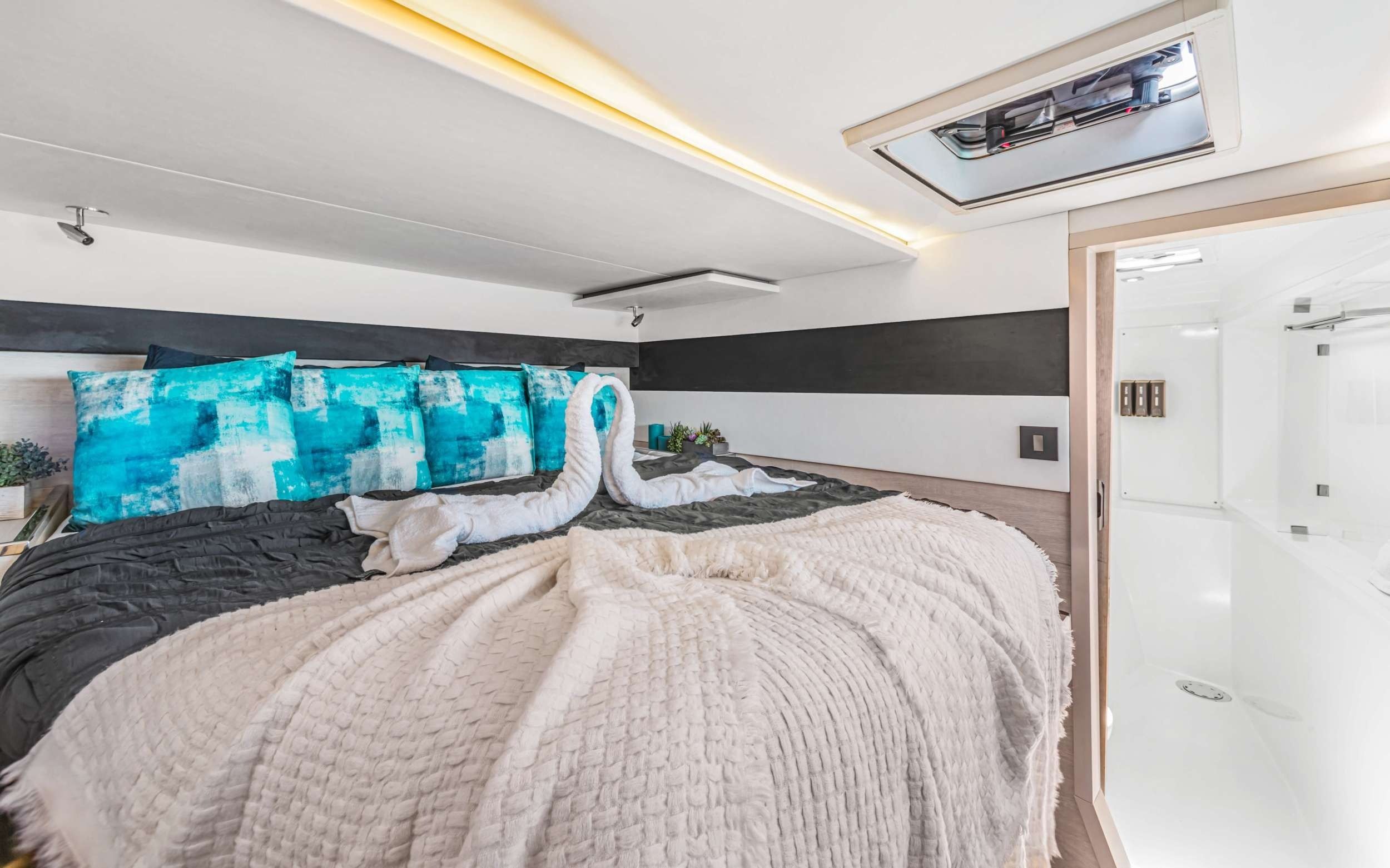 Leopard 50 | One 2 Love