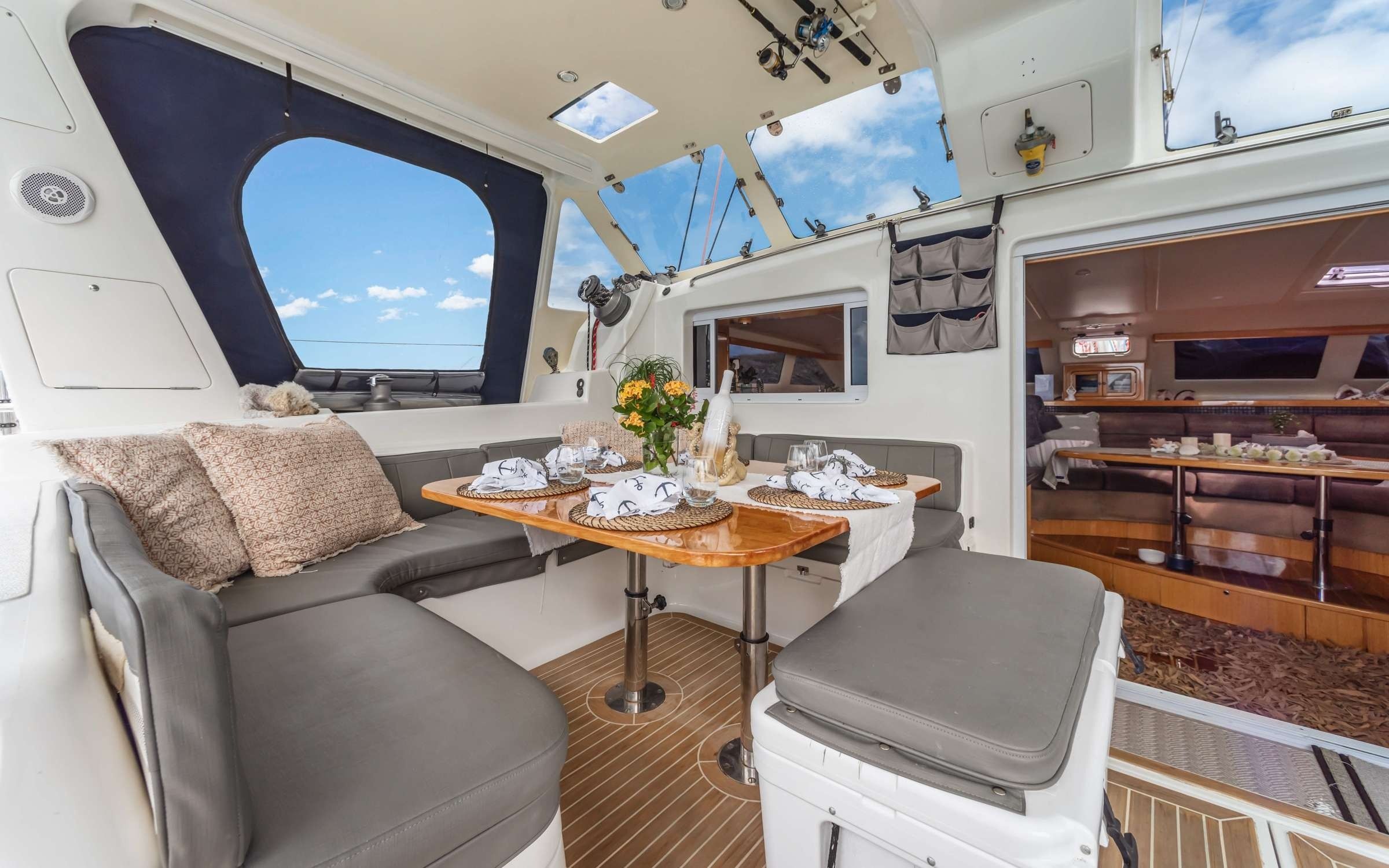 St Francis 50 | Paradigm Shift