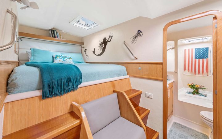 St Francis 50 | Paradigm Shift