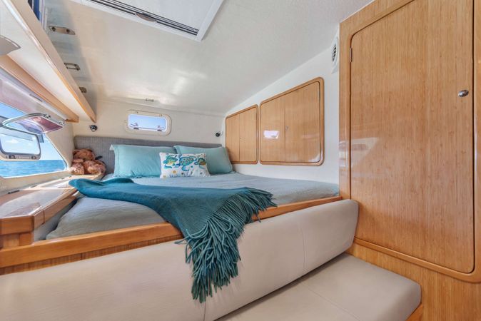 St Francis 50 | Paradigm Shift