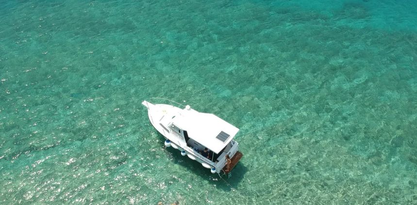 Jeanneau Lamparo 6.5 | Dispet