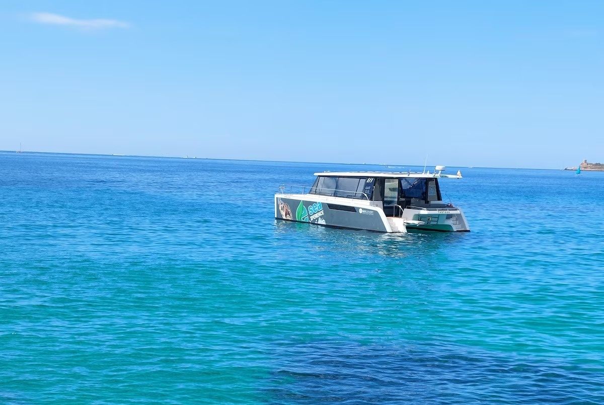 Sun Concept 12 | Tortuga