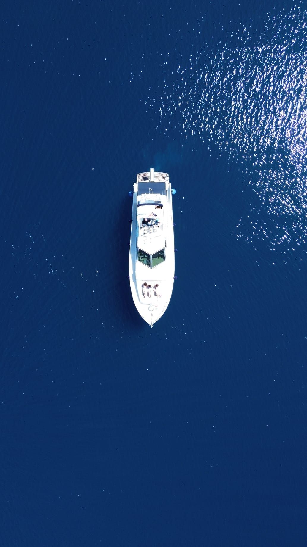 River Craft 50 | Laros 1