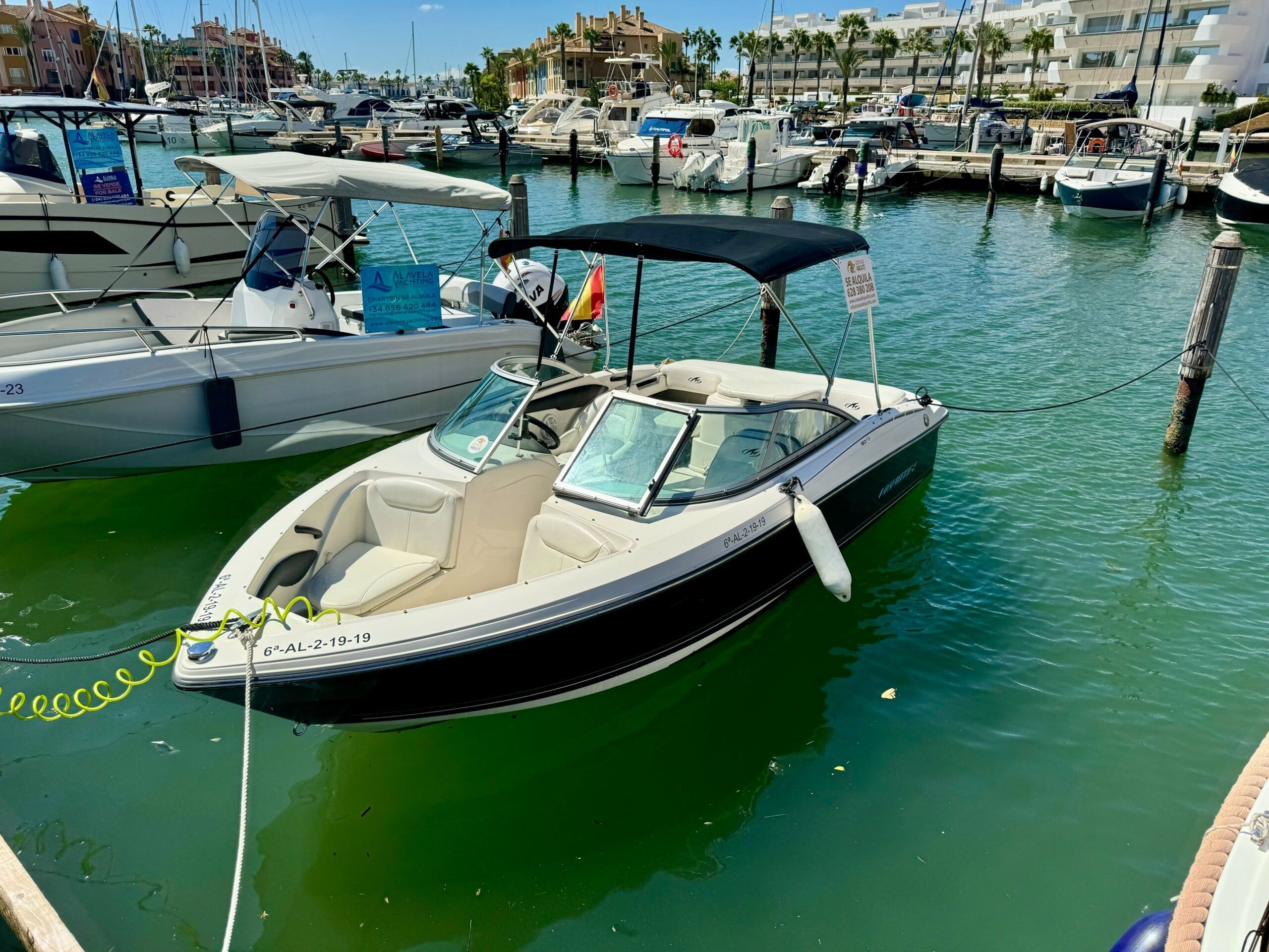 Monterey 185 | Dani's Toy