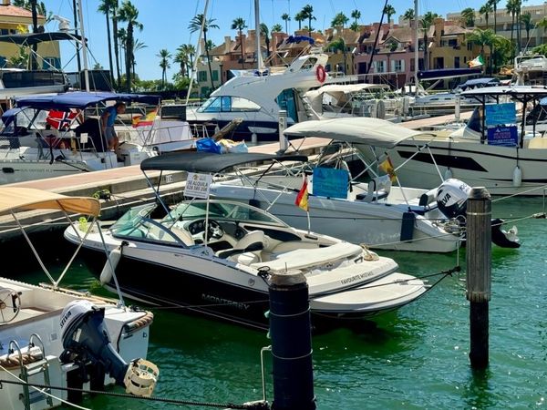 Monterey 185 | Dani's Toy