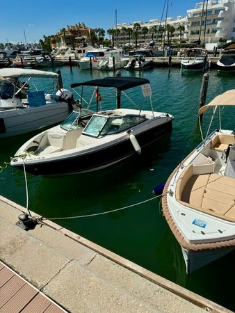 Monterey 185 | Dani's Toy